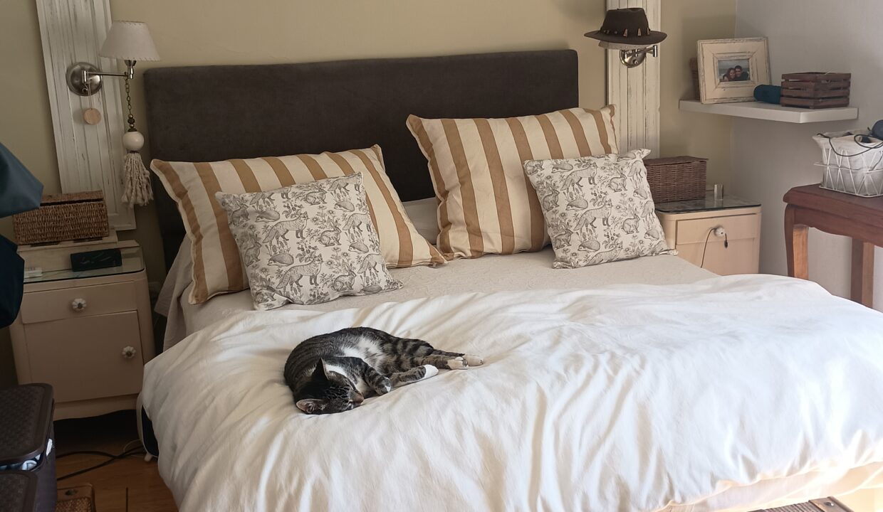 IMG_20250416_110827641