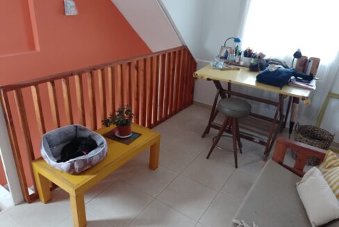 WhatsApp Image 2022-10-14 at 15.14.49 (1)