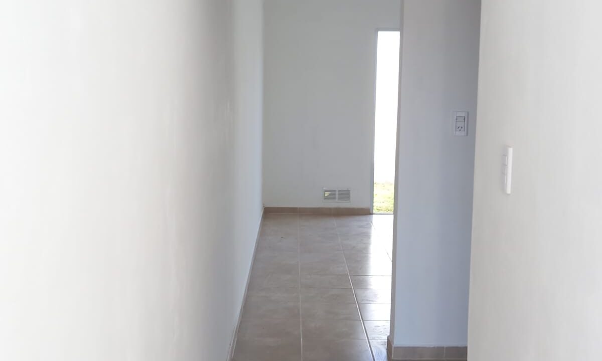 WhatsApp Image 2026-02-20 at 16.47.13