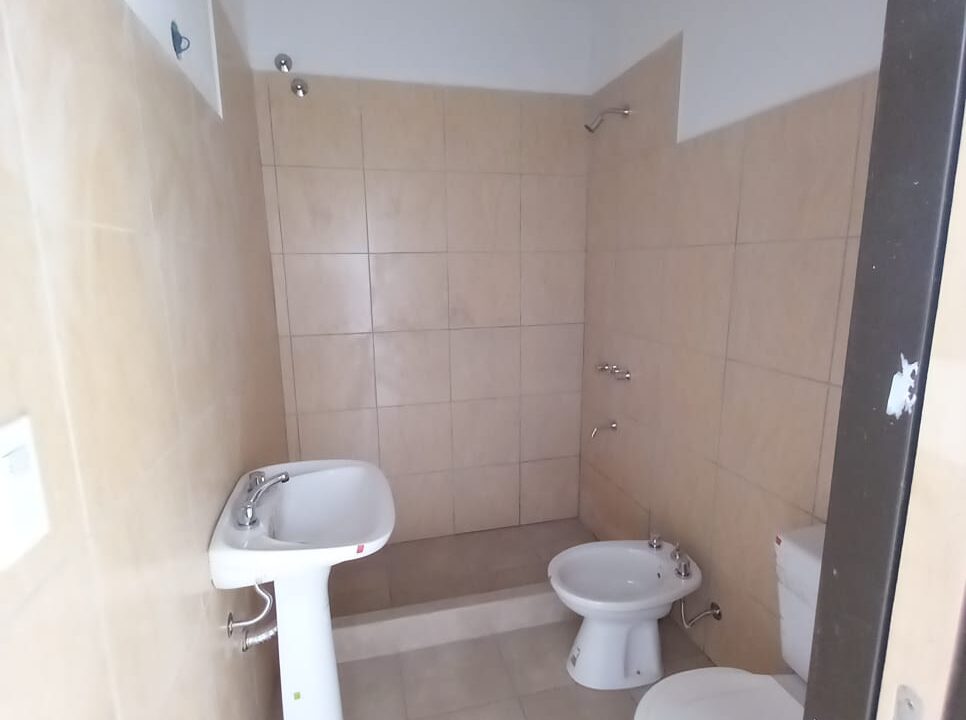 WhatsApp Image 2026-02-20 at 16.47.14