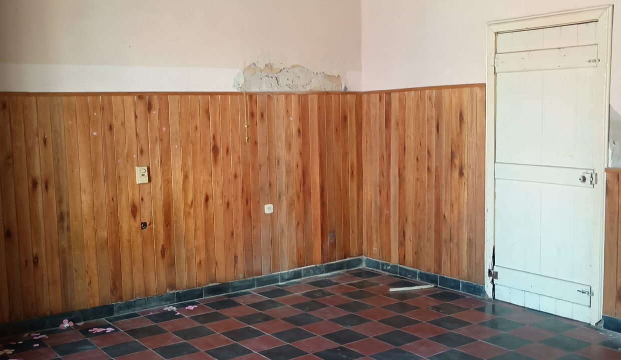 WhatsApp Image 2026-02-25 at 19.00.12